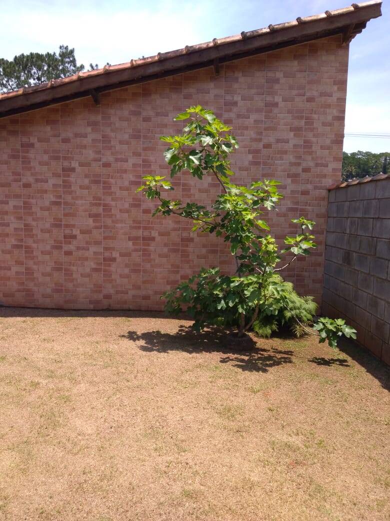 Fazenda à venda com 5 quartos, 1000m² - Foto 6