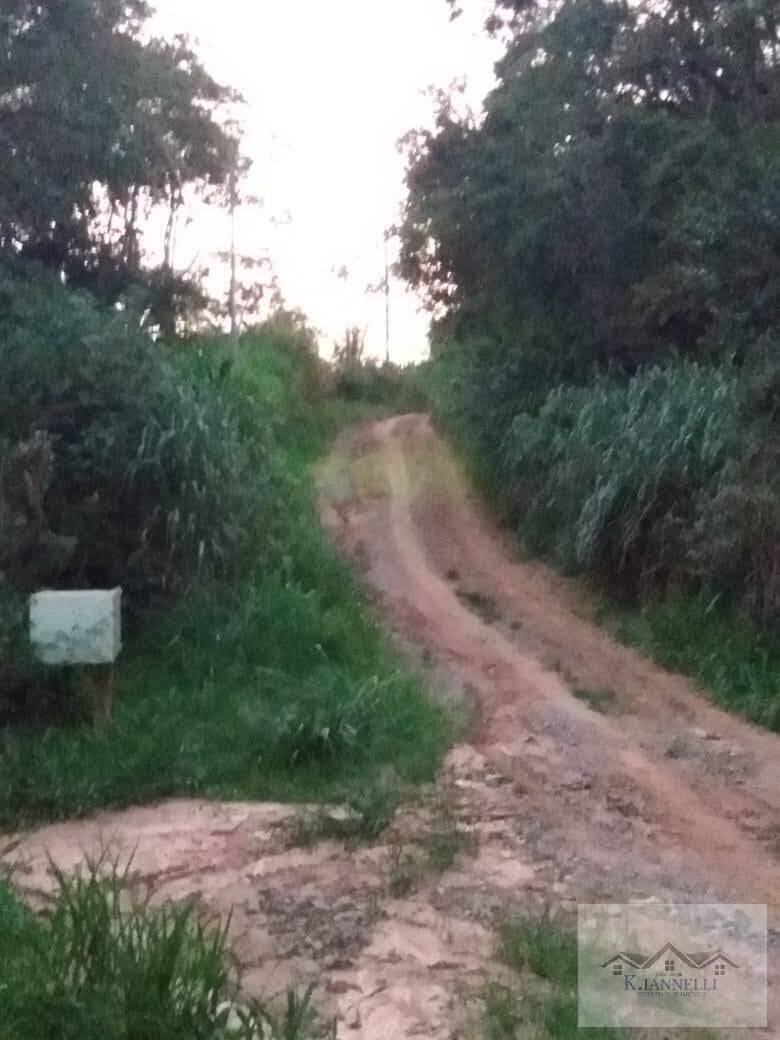 Fazenda à venda com 2 quartos, 2160m² - Foto 16